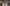 Gif: Gina [mischievous laugh]