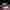 August 2024: OnlyFans Athletes Medal at Paris Olympics // LMAOF Posts Up at Edinburgh Fringe. Split image of five athletes on OnlyFans who competed in the summer Olympics and the LMAOF logo inside a calendar box labeled, "August 2024"